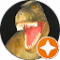Roger Marhefka Avatar